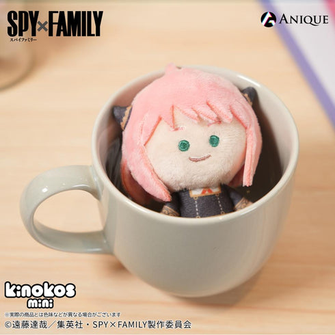 『SPY×FAMILY』トレーディングKINOKOS mini(全6種)1箱【BOX】