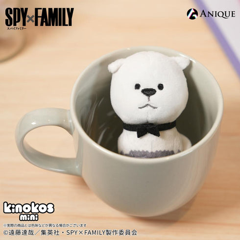 『SPY×FAMILY』トレーディングKINOKOS mini(全6種)1箱【BOX】