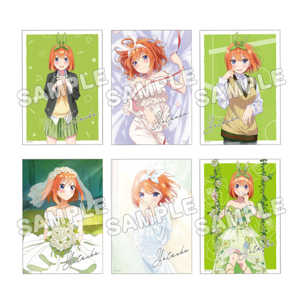 《五等分的新娘∽》写真卡6张套装 中野四叶【202603再版】