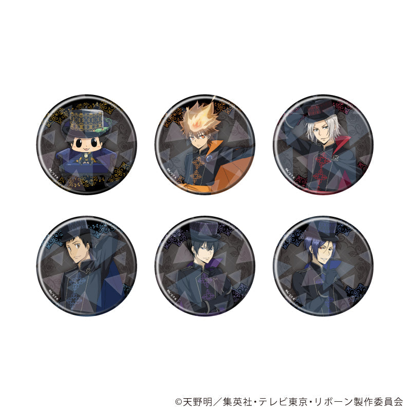 天野明展 缶バッジ バッジ・ビンズ 笹川京子 「家庭教師ヒットマンREBORN