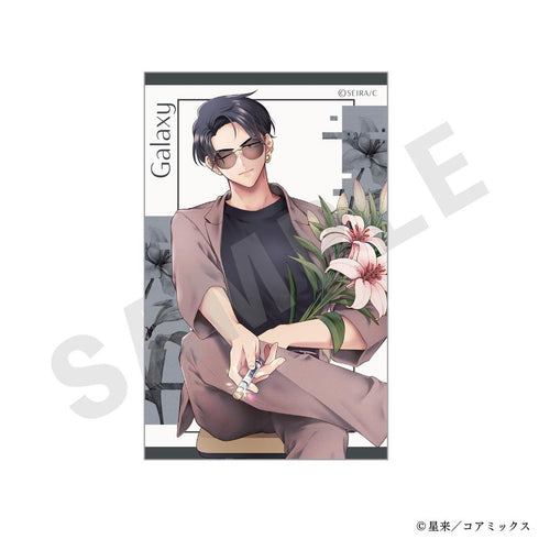 『ガチ恋粘着獣 ~ネット配信者の彼女になりたくて~』トレーディングビジュアルカード ver.1(全10種)【BOX】