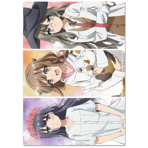 『青春ブタ野郎はバニーガール先輩の夢を見ない』クリアファイルB【202608再販】