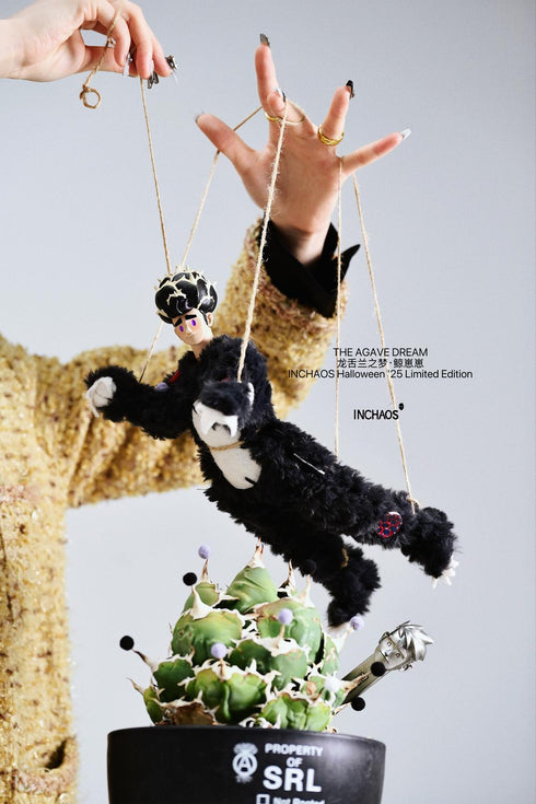 『THE AGAVE DREAM』004_INCHAOS クジラちゃん 1/6スケール可動フィギュア(ブラック)