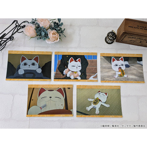 『ダンダダン』ブロマイドセット 【ターボババア(招き猫)】