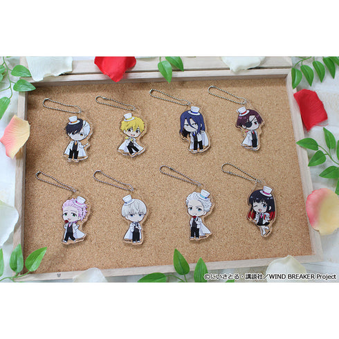 『WIND BREAKER』ぷちちょこトレーディングアクリルキーホルダー 怪盗ver.【BOX】