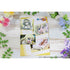 『僕は友達が少ない』クリアファイル【柏崎星奈】