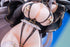 『シスターエルフ』by そらなにいろ 特別Ver.