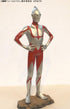 『ウルトラマンシリーズ』円谷プロコレクション ウルトラマン シン・ウルトラマンより