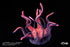 "Sushing Articulated Base Series" Articulated Base Series UBC-404 Entangling Tentacle Parts (Long)