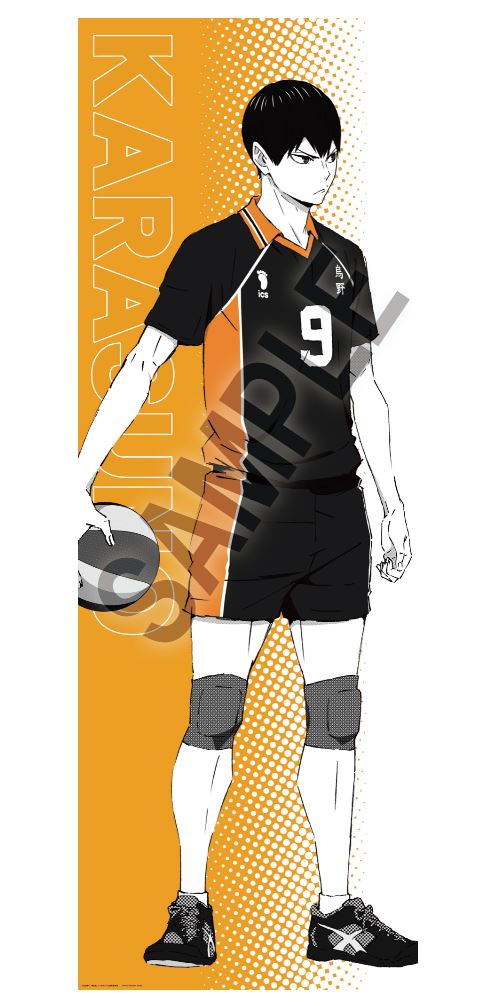 『ハイキュー!!』ポートレートシリーズBIGファブリックポスター 影山飛雄