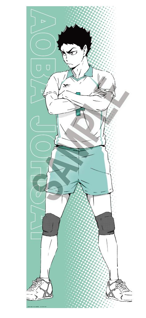 『ハイキュー!!』ポートレートシリーズBIGファブリックポスター 岩泉一