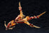 『アルカナディア』ゼノアルマ ブレイズ オーピス【202605再販】