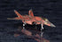 『ACE COMBATシリーズ』CFA-44【202610再販】