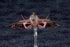 『ACE COMBATシリーズ』CFA-44【202610再販】