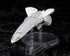『銀河英雄伝説 Die Neue These』銀河帝国軍 戦艦 ブリュンヒルト【202608再販】