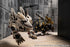 『ZOIDS』ダークホーン ハリースペシャル 2001 Re/color【202607再販】