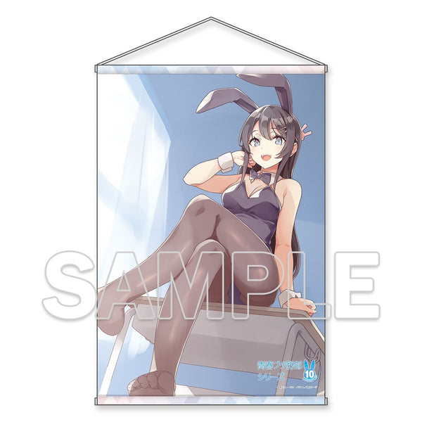 『電撃文庫青春ブタ野郎シリーズ』10周年記念描き下ろしB2タペストリー