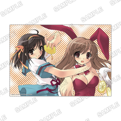 『涼宮ハルヒシリーズ』A5アクリルパネル ハルヒ&みくる