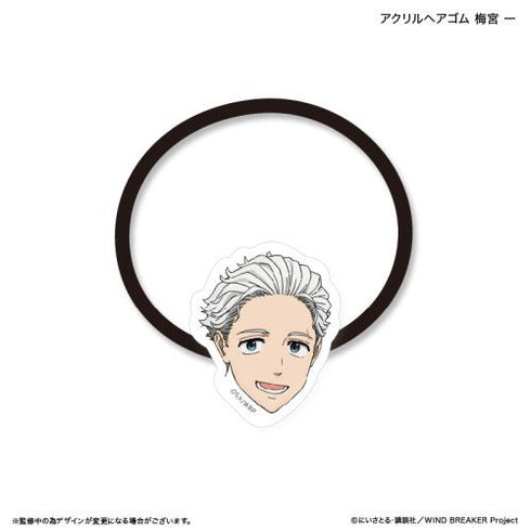 『WIND BREAKER』WIND BREAKER アクリルヘアゴム 梅宮 一