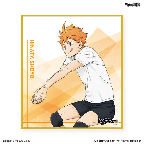 『ハイキュー!!』トレーディングミニ色紙 -レシーブ-【BOX】