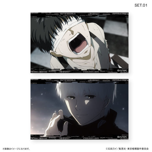 TVアニメ『東京喰種トーキョーグール』 トレーディングワンカットブロマイド 【全10種】(BOX)