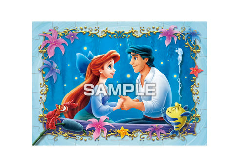 『ディズニープリンセス』【食玩】パズルガム【BOX】