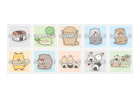 『なんでもいきもの』【食玩】シールコレクション2 ガムつき【BOX】