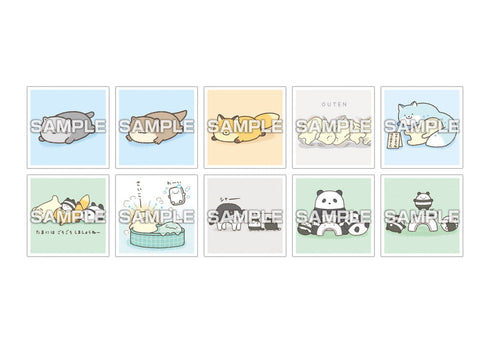 『なんでもいきもの』【食玩】シールコレクション2 ガムつき【BOX】