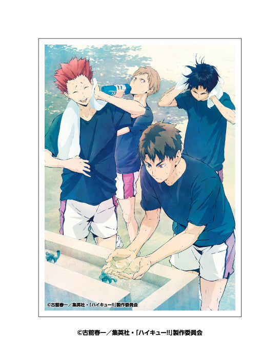 "Haikyu!!" Character Card Sleeve: Wakaba-style EN-1634