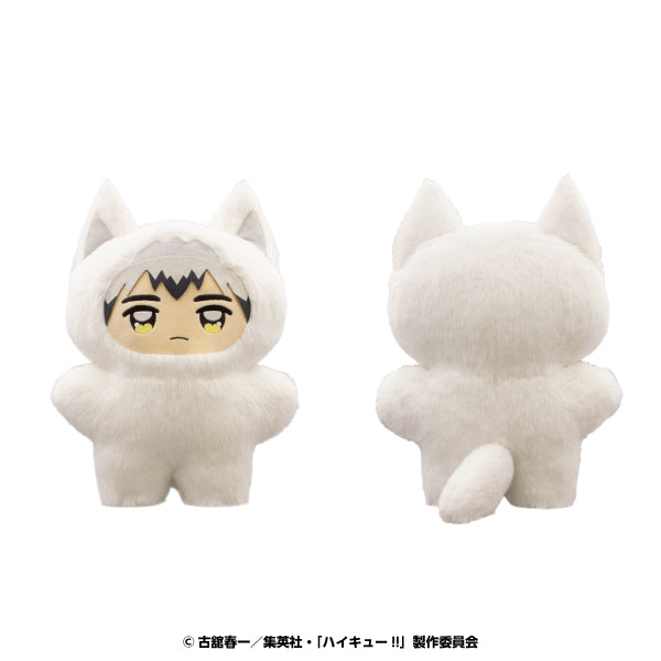HIQUE! Choido de chichimike mo masu kotto 11 Kita Shinsuke