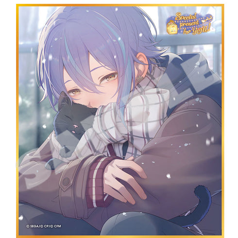 『プロジェクトセカイ カラフルステージ! feat. 初音ミク』ミニ色紙コレクション 第53弾C Special present for YOU!【BOX】