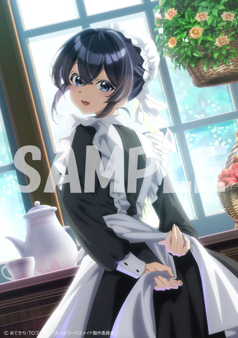 【DVD】ヒロイン?聖女?いいえ、オールワークスメイドです(誇)!DVD BOX