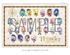 【Blu-ray】プロジェクトセカイ COLORFUL LIVE 5th - Frontier -【初回限定盤】