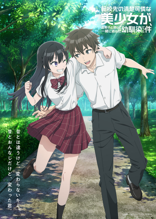 【Blu-ray】転校先の清楚可憐な美少女が、昔男子と思って一緒に遊んだ幼馴染だった件 Blu-rayBOX