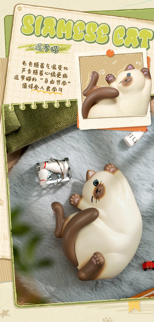 『ニャンコトークシリーズ』001_52TOYS BLINDBOX