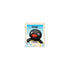 《Pingu》夏季水壺