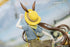 《阿克奈斯》Gift+ 1/8 亞米亞 野趣時光版