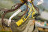 《阿克奈斯》Gift+ 1/8 亞米亞 野趣時光版