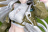 《阿克奈斯》Gift+ 1/8 斯卡吉 野趣時光版