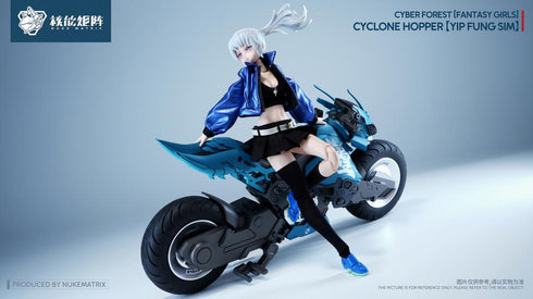 『サイバーフォーレスト FANTASY GIRLS』008_NUKE MATRIX FF0120 サイクロンホッパー 叶风婵(イップ・フォン・シム) プラスチックモデルキット