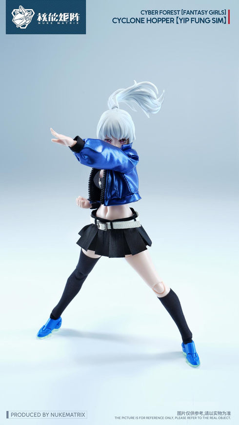 『サイバーフォーレスト FANTASY GIRLS』008_NUKE MATRIX FF0120 サイクロンホッパー 叶风婵(イップ・フォン・シム) プラスチックモデルキット
