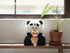 『Bonanaシリーズ』FRIENDSHEEP PANDA BONANA ぬいぐるみ