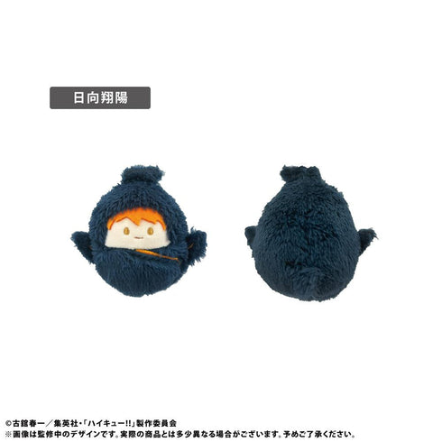 『ハイキュー!!』くるみたぴぬい Vol.1【BOX】