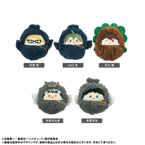 『ハイキュー!!』くるみたぴぬい Vol.2【BOX】