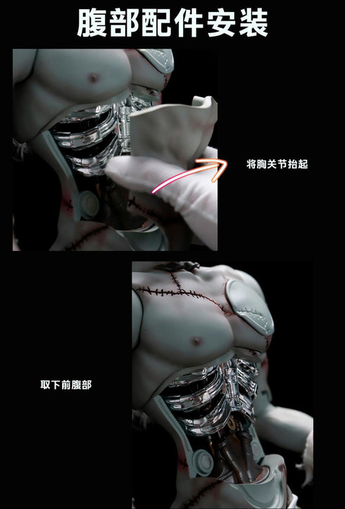 『Science Fantasy(サイエンスファンタジー)シリーズ』001_Ringdoll フランケンシュタイン 76cmボールジョイントドール(BJD)