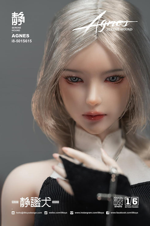 『SERENE HOUND(セリーンハウンド) AGNES(アグネス)』002_i8TOYS I8-501S615 1/6スケールアクションフィギュア