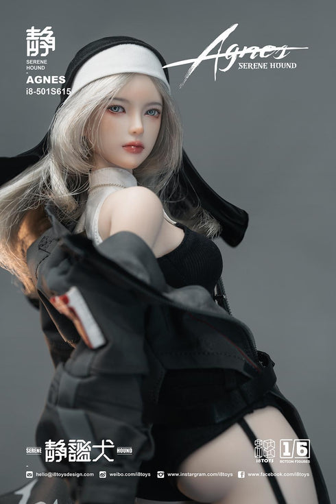 『SERENE HOUND(セリーンハウンド) AGNES(アグネス)』002_i8TOYS I8-501S615 1/6スケールアクションフィギュア