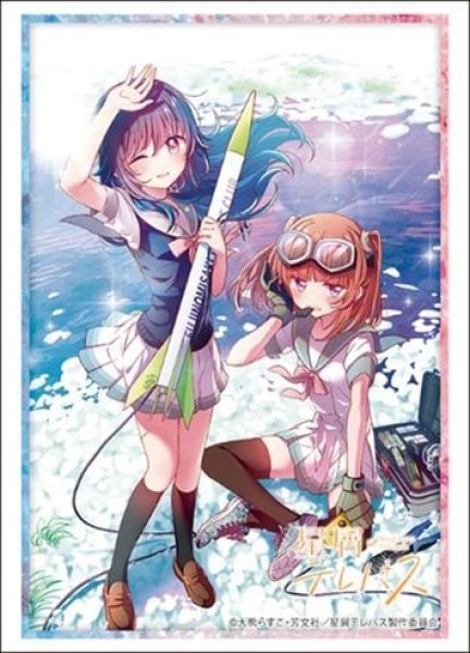 『星屑テレパス』ブシロードスリーブコレクション Vol.4209『小ノ星海果&雷門 瞬』(75枚入り)