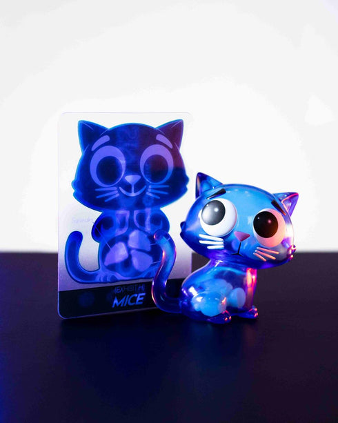 『Catscans』009_【BOX】