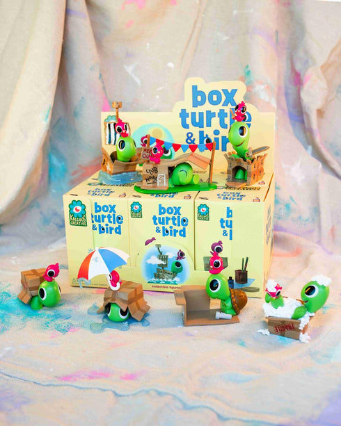 『Box Turtle and Bird』022_【BOX】